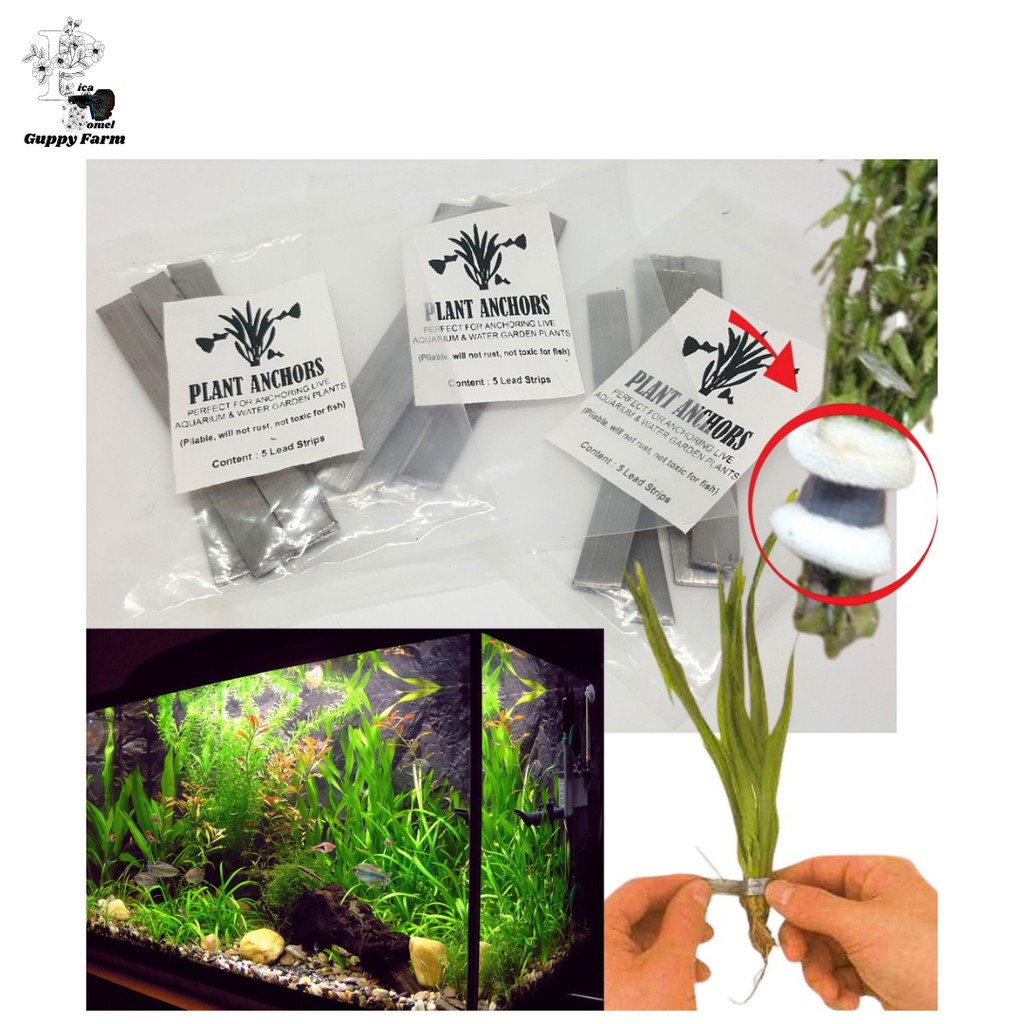 Plant Anchors Aquatics Plant Anchors Pliable and Safe for fish Shopee Malaysia