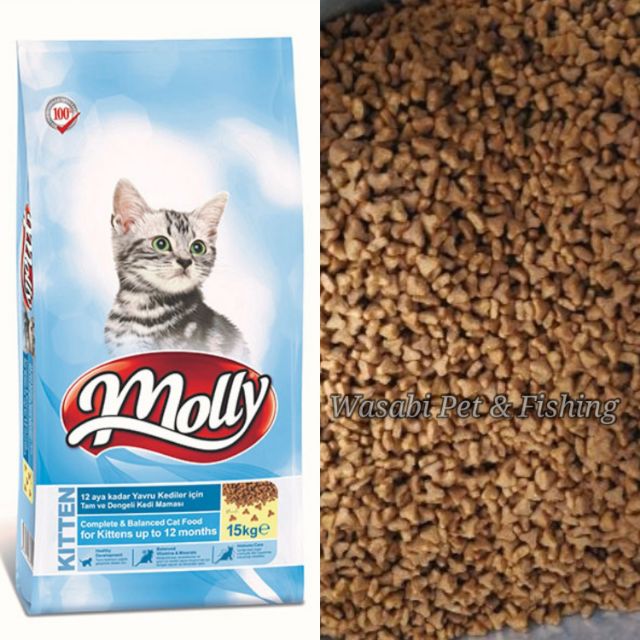 Molly Kitten Food