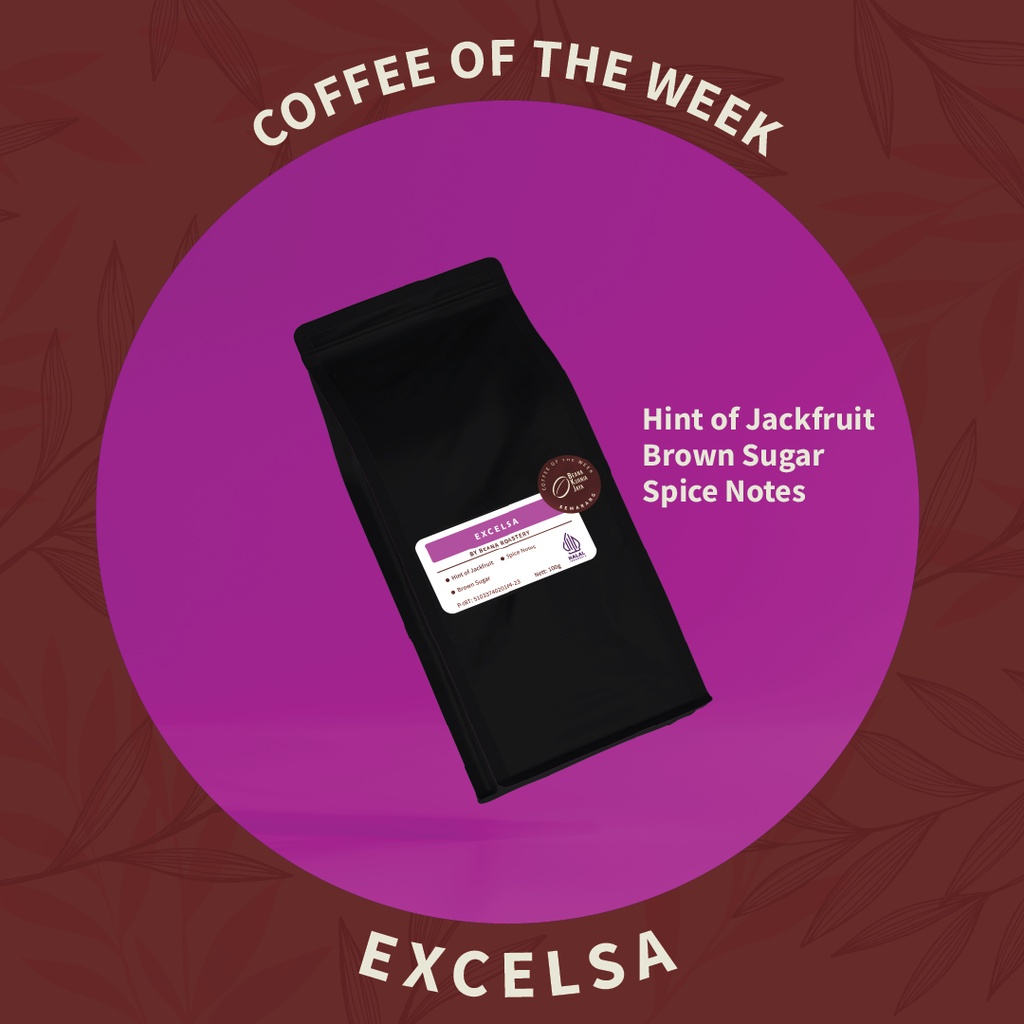 Beana COFFEE OF THE WEEK Cotw Roasted Coffee Beans Shopee Malaysia