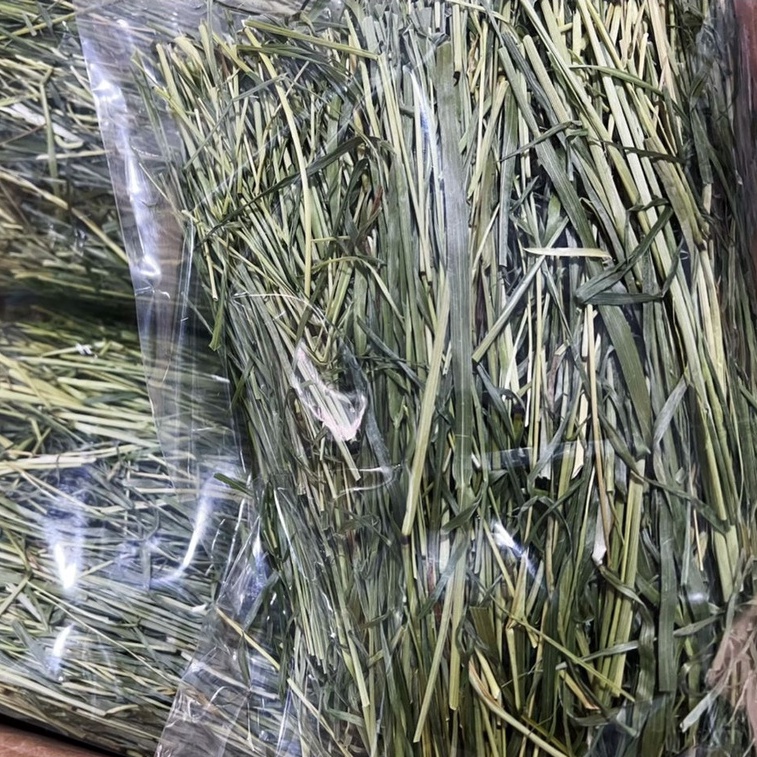 Premium Grade Alfalfa Timothy Hay 500g/1kg for Rabbits, Guinea Pigs, and Small Animals Edisi