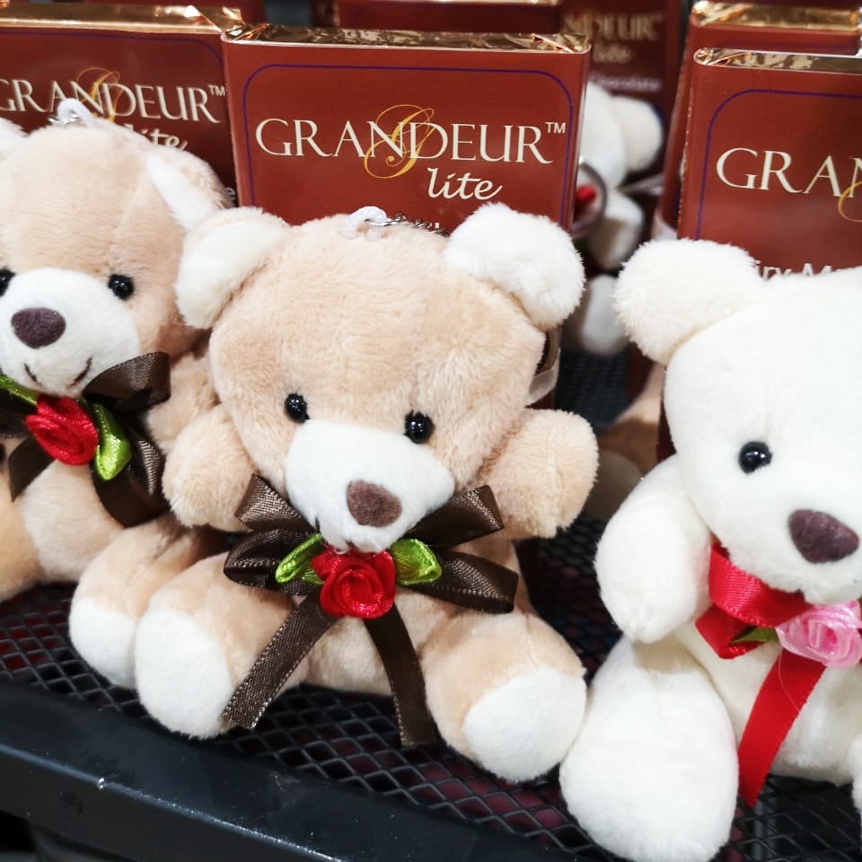 GRANDEUR Dairy Milk Chocolate Bar 45g + Teddy Bear Coklat Langkawi