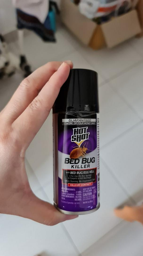 Bed Bug Fogger Review, 55 OFF