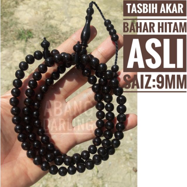 Akar Bahar Emas Khasiat AKARKUA