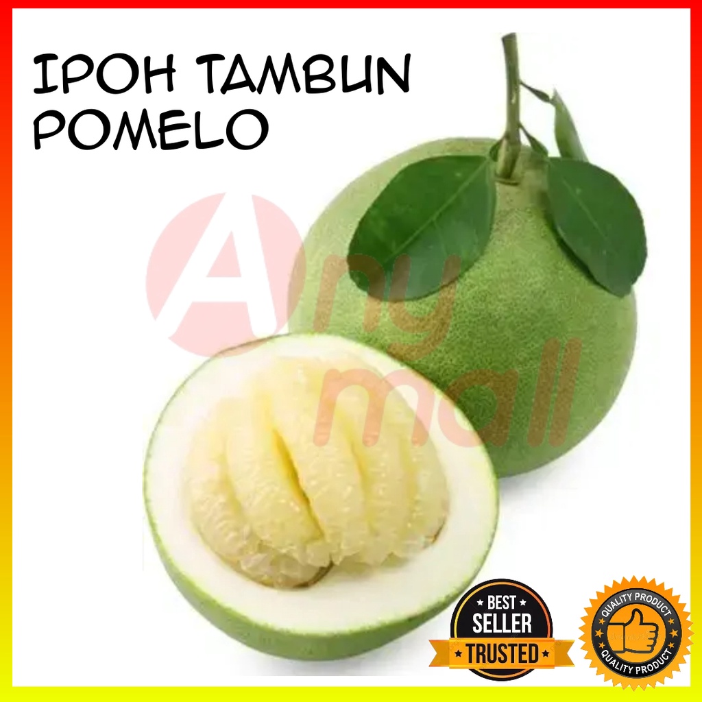 ANY Ipoh Famous Tambun Pomelo Sweet & SweetSour / Tambun limau Bali