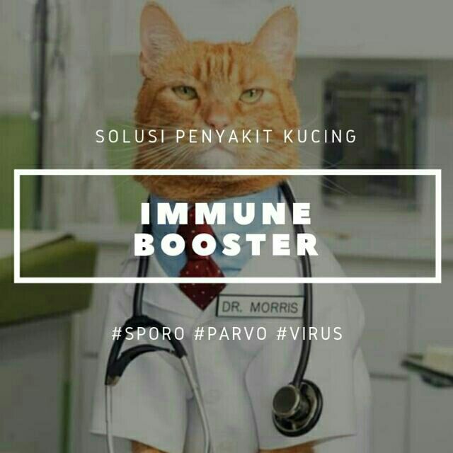 [Holent Trading]Cat Immune Booster (Masalah Kucing Virus Parvo Sporo