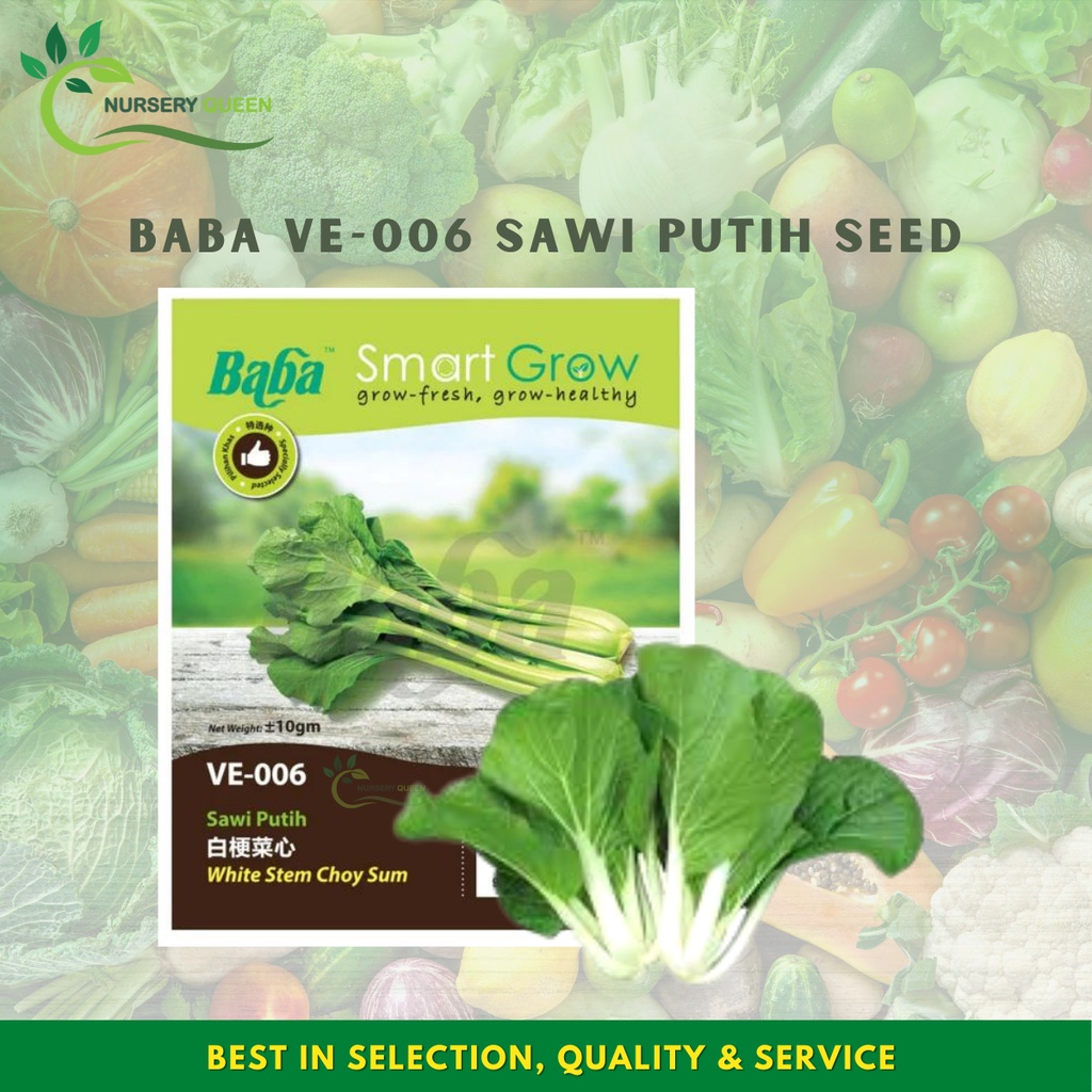 NK Baba Seed VE006 Sawi Putih Seed Smart Grow Vegetable Seed Garden