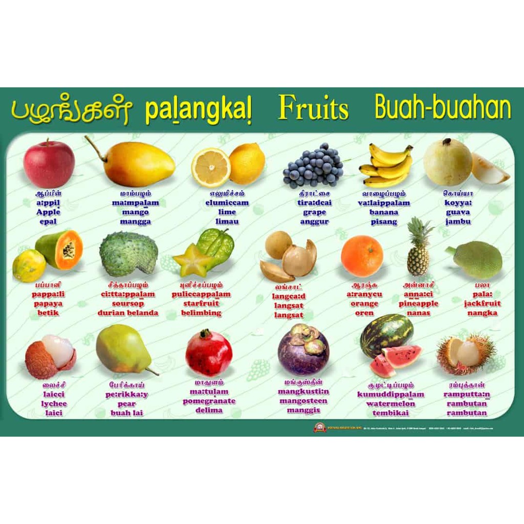 FRUITSCHART (TRILINGUAL) BAHASA MELAYU ENGLISH TAMIL Shopee Malaysia