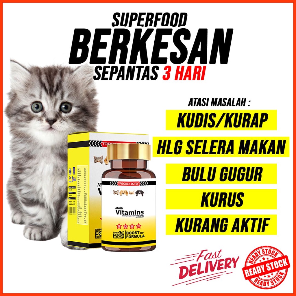SUPERFOOD BOOST UP FORMULA CAT VITAMIN , KURAP , LEBAT BULU , GEMOK SIHAT SPORO , BIOVET , ROYAL