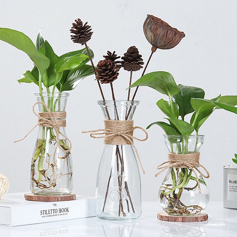 Glass Vases Transparent Water Hydroponics Flower Rope Dry Flower Vase