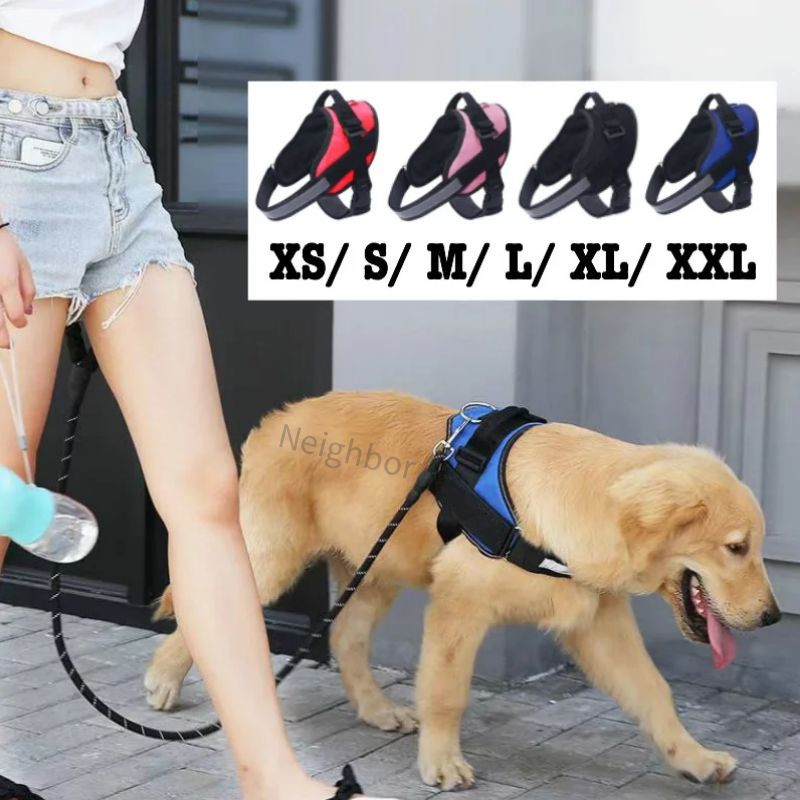 dog leash Prices and Promotions Groceries & Pets Feb 2023 Shopee