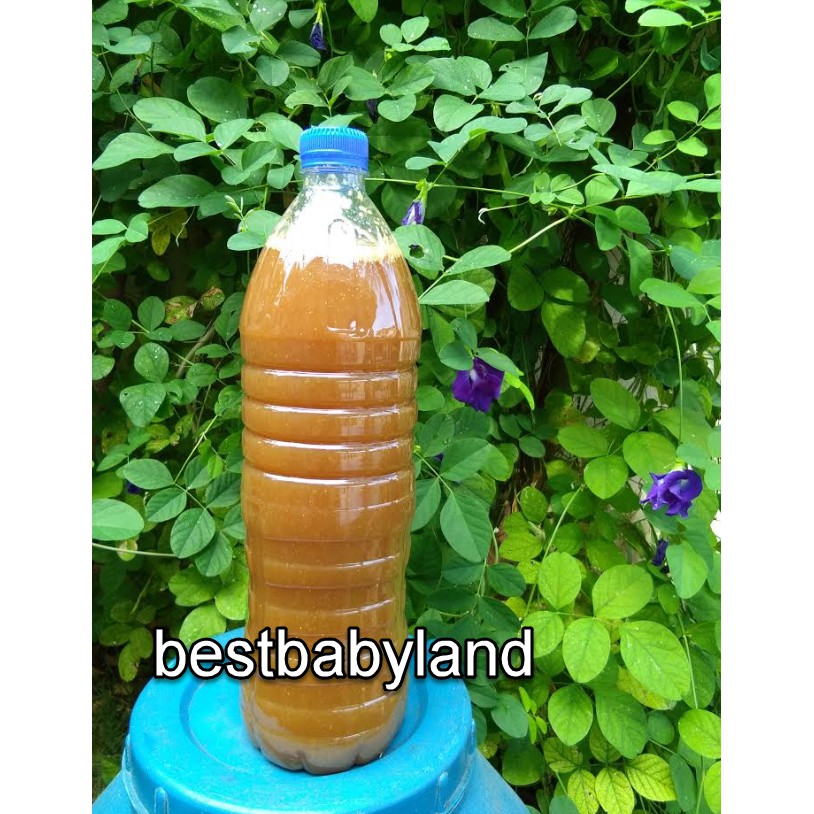 Homemade Concentrate Eco Enzyme Natural Cleaners / Fertilizer 1.500ml 1 Unit West Malaysia