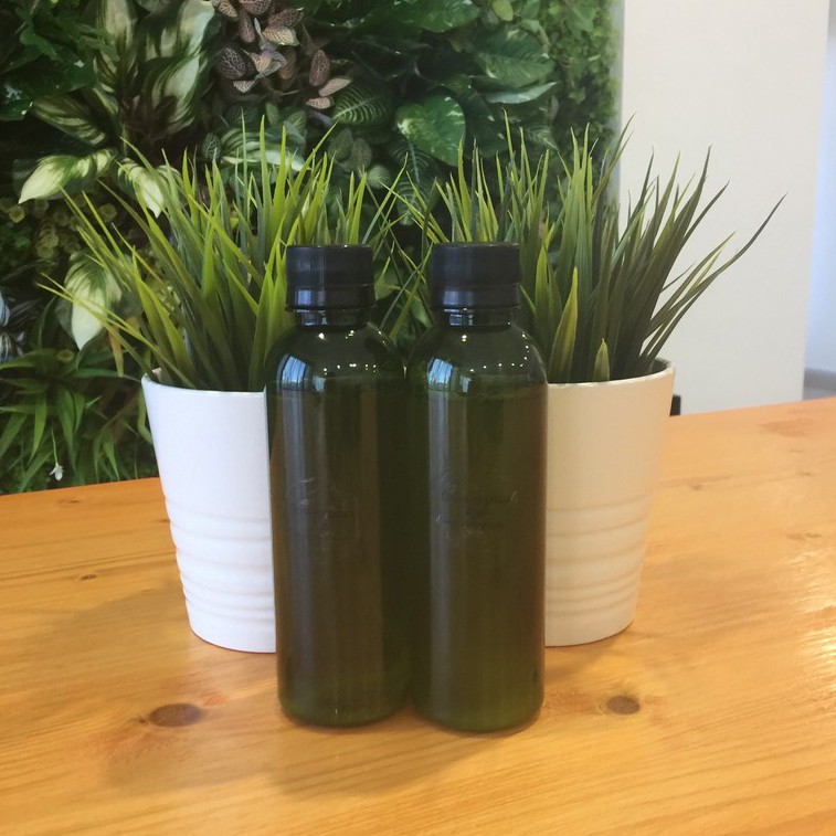 ORGANIC Neem Insecticidal Soap 100 Concentrate ( Biodegradable