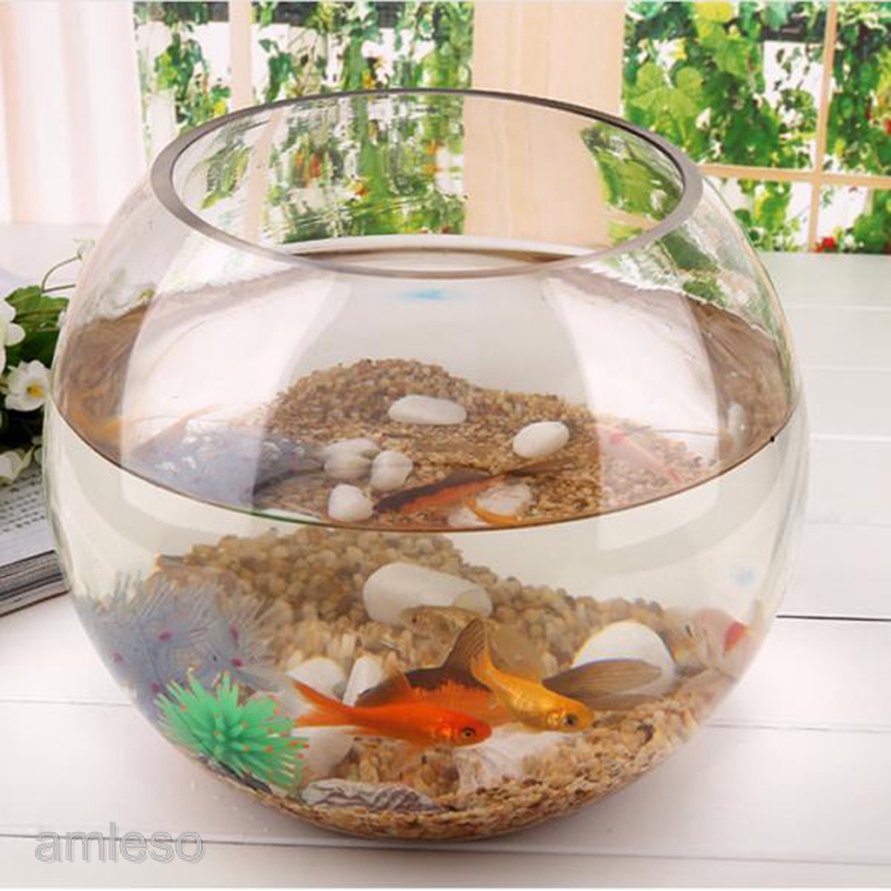 Round Transparent Crystal Glass Bowl Clear Sphere Vase Fish Tank Water