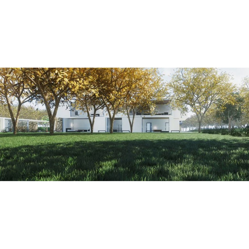 [Sketchup Model] Landscape tree & plant for Sketchup Vray