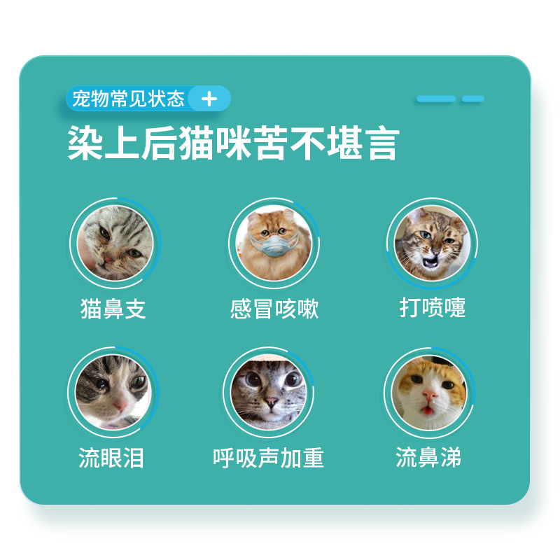 Can You Give A Dog Cold Medicine