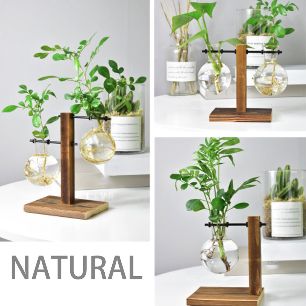 Flowers Terrarium Container Vases & Vessels Bulb Wooden Glass Planter