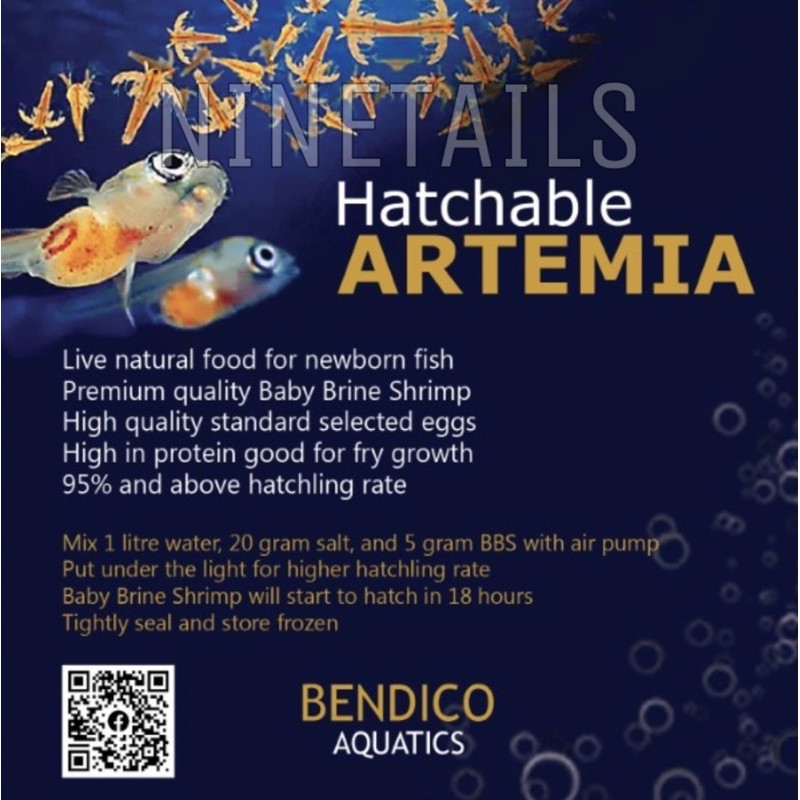 Hatchable Artemia BBS Baby Brine Shrimp eggs, fry food, makanan anak ikan, betta food, guppy