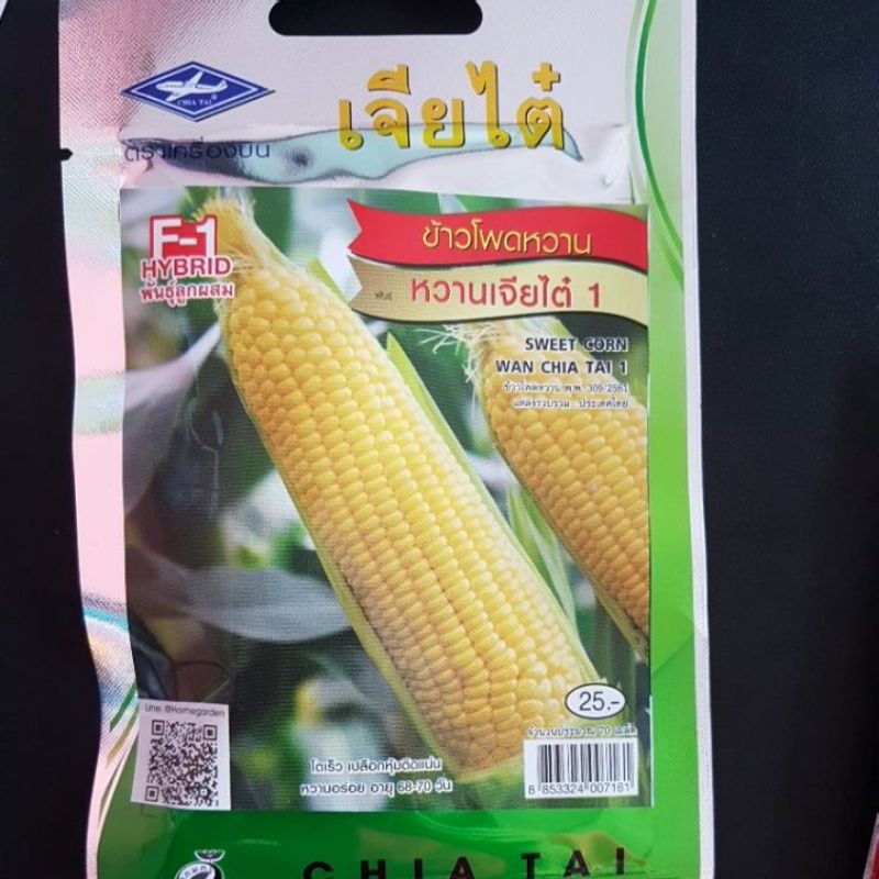 Benih jagung manis madu (70seed) Shopee Malaysia