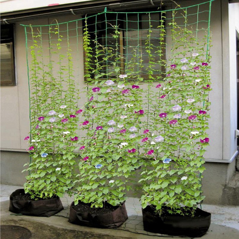 1pc 90*180cm Nylon Garden Netting Morning Glory Flower Vine Climbing Net Cucumber Plants Landing