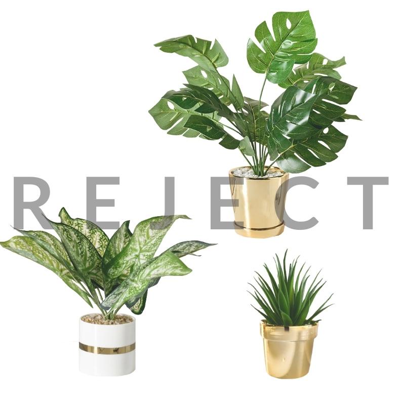REJECT Artificial Fake Realistic Monstera Dieffenbachia Yucca Succulent