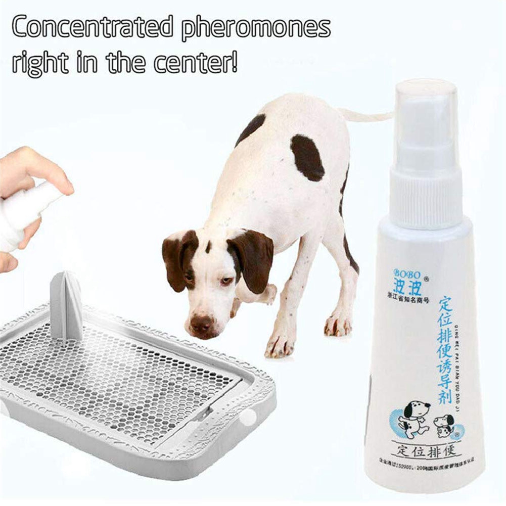 60ML Effective Pet Toilet Training Spray Dog Props Inducer Shopee