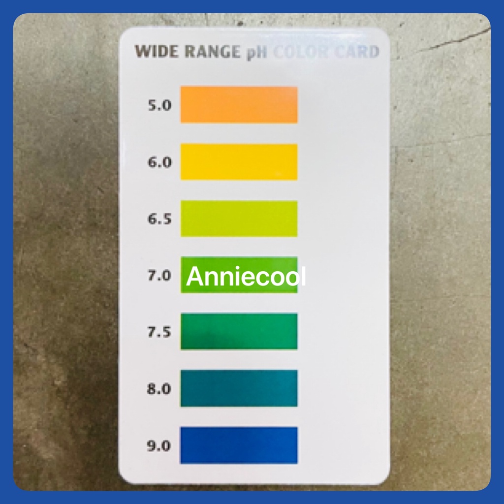API POND WIDE RANGE PH TEST KIT 160 TEST Shopee Malaysia