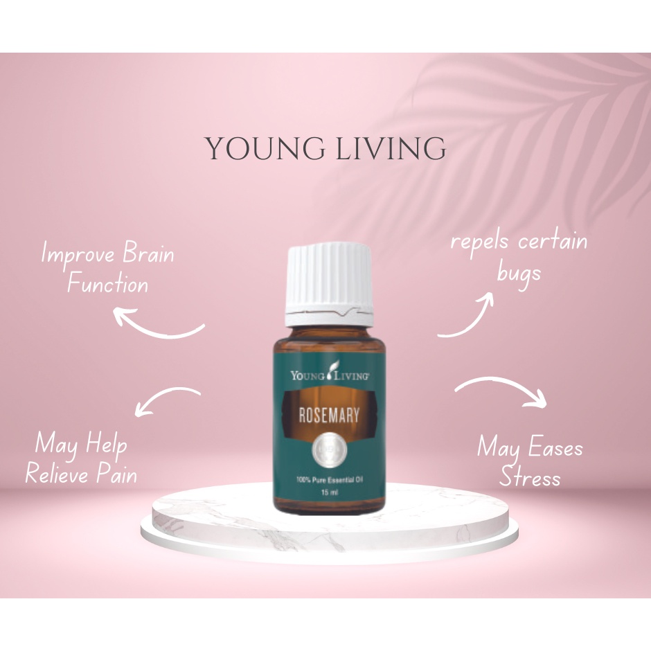 Young Living YL Rosemary Essential Oil 15ml Shopee Malaysia