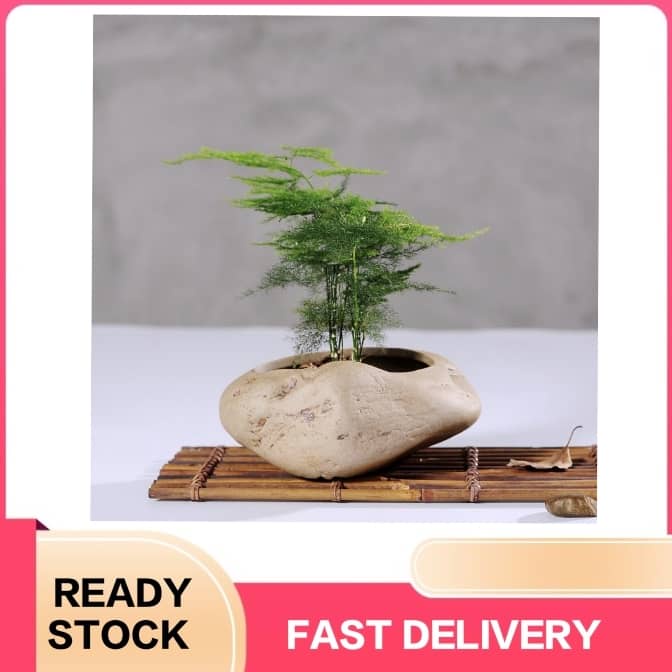 Creative Flower Pot Planter Ceramic stoneware pot Indoor Succulent