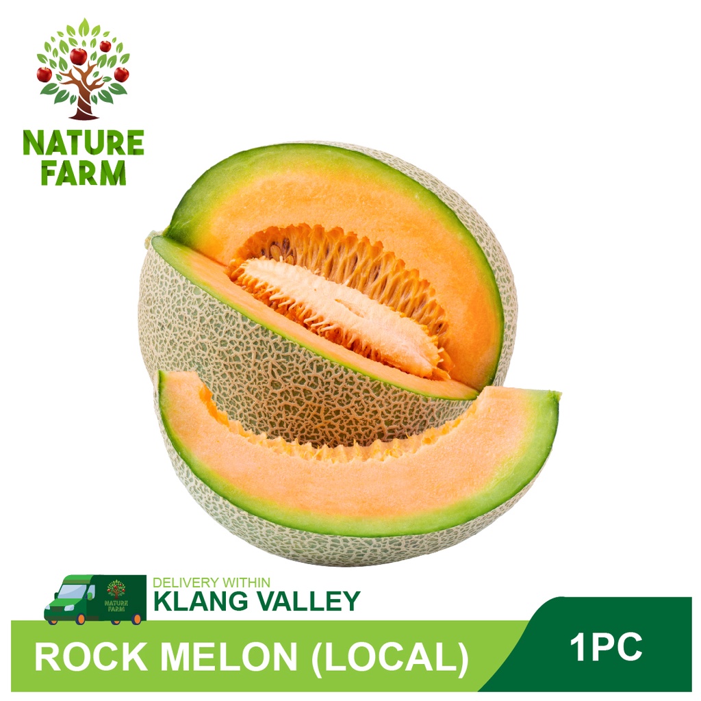 Nature Farm Rock Melon Local (1PC/ 1.5KG +/) Shopee Malaysia