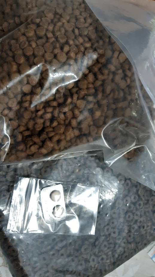 Sukatan Ubat Cacing Untuk Kucing Barrygbgt