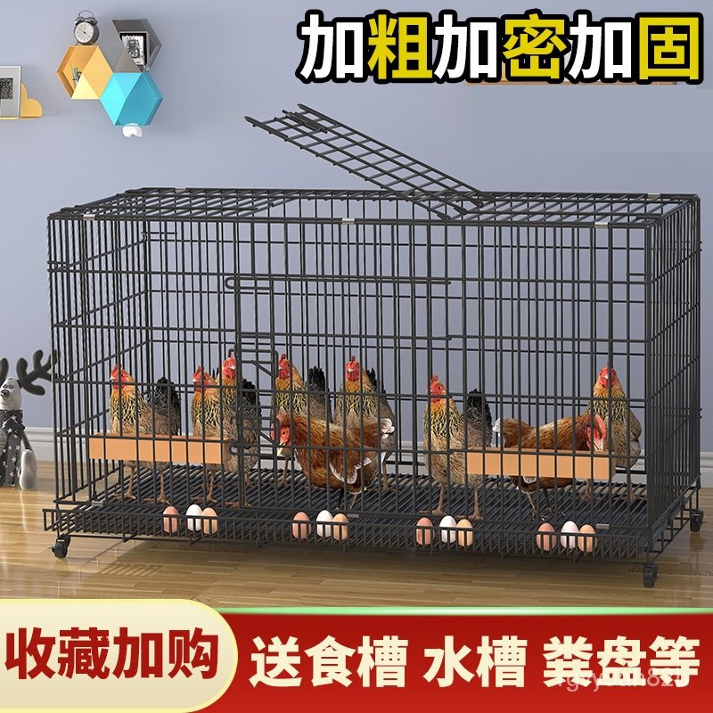 Photo Album Chicken Coop Build Outdoor Pigoen Cage Breeding Cage Large