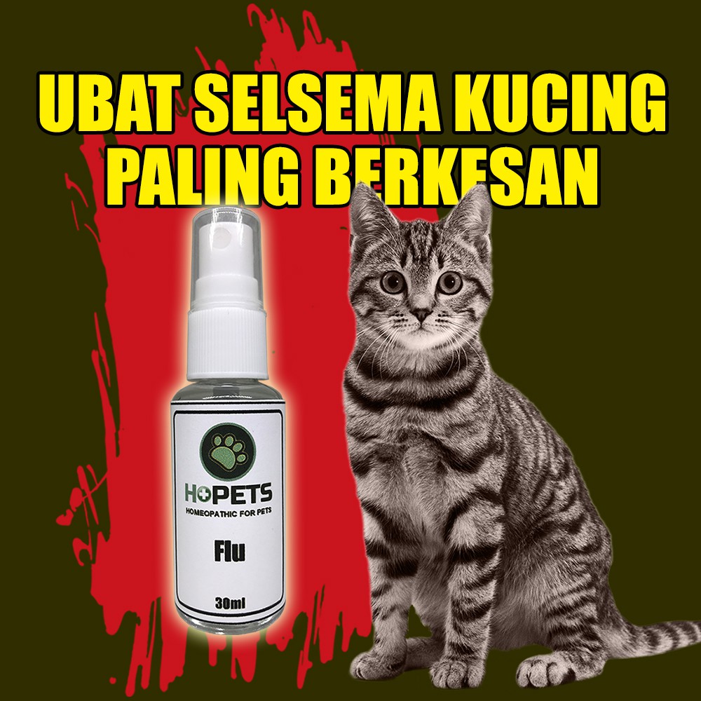 Harga Ubat Selsema Kucing Buat Ubat Batuk Dan Selsema Kucing Sendiri Cara Yang Mudah Youtube Langkah Awal Mencegah Selsema Semasa Hamil Metasupportblog