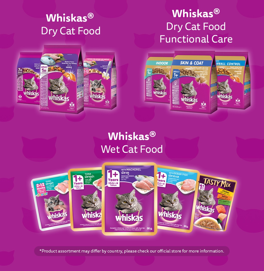 WHISKAS Junior Mackerel Flavor with Milk Kitten Food, 1.1 kg. Dry Cat