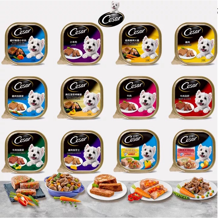 Cesar Wet Dog Food 100G Shopee Malaysia