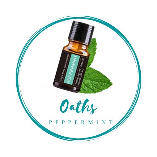 Peppermint Essential Oil (10ML) Shopee Malaysia