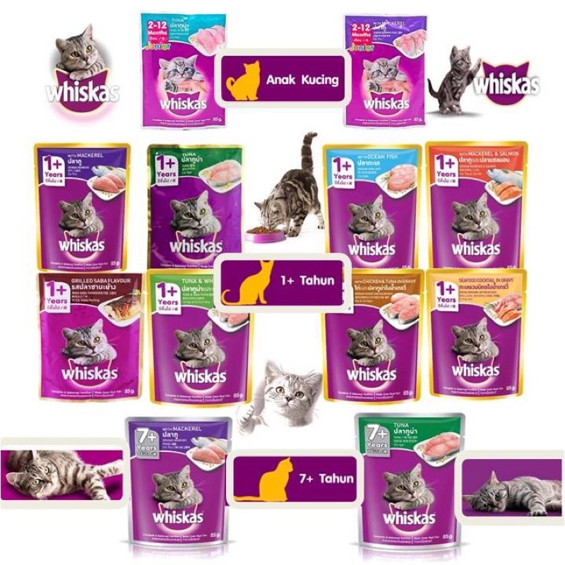 WHISKAS POUCH CAT WET FOOD SNACK SALMON TUNA FISH CHICKEN PROTEIN