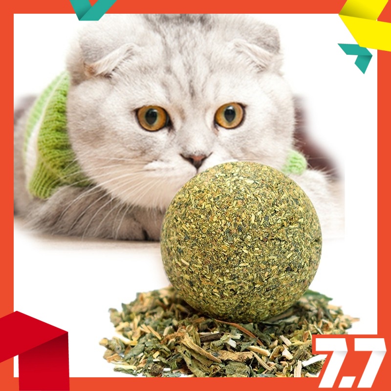 Natural Cat Catnip Snack Ball Shopee Malaysia