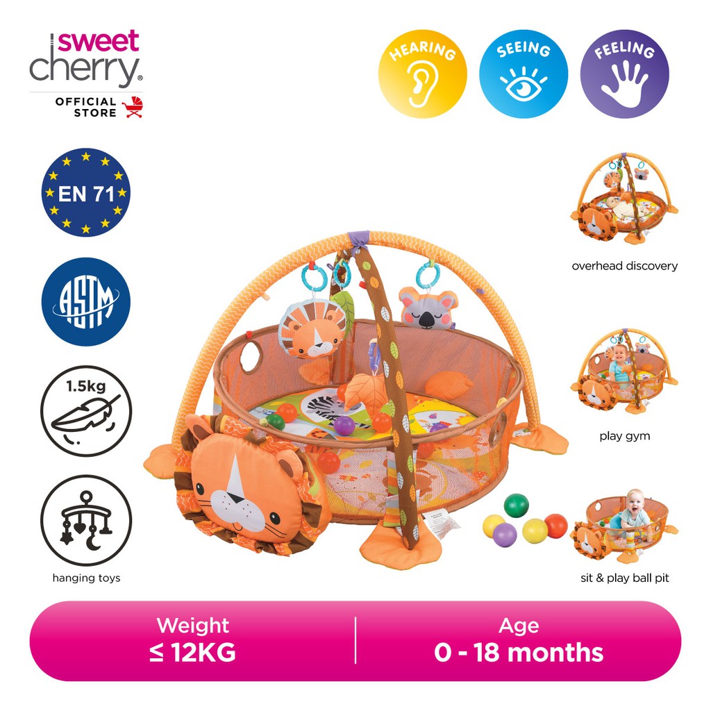 Sweet Cherry 3In1 Baby Activity Gym Floor Toys Playmat & Playgym