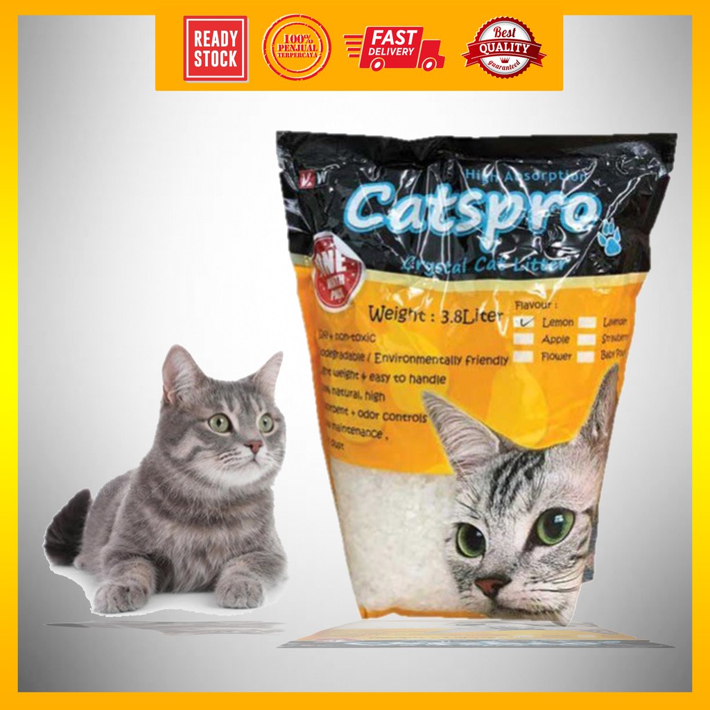 Catspro Crystal Cat Litter / Pasir Kucing Kristal 3.8L Shopee Malaysia