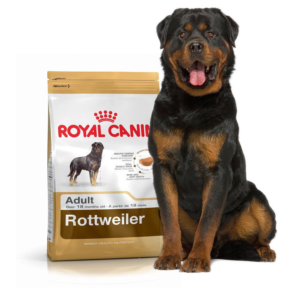 What Is A Good Dog Food Brand For Rottweilers