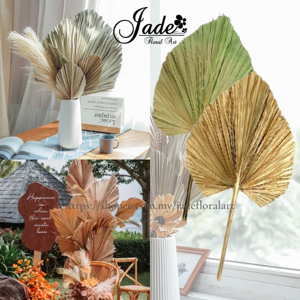DAUN KIPAS KERING / PALM LEAF / DAUN PALMA / DAUN PALM/ DAUN PELAMIN