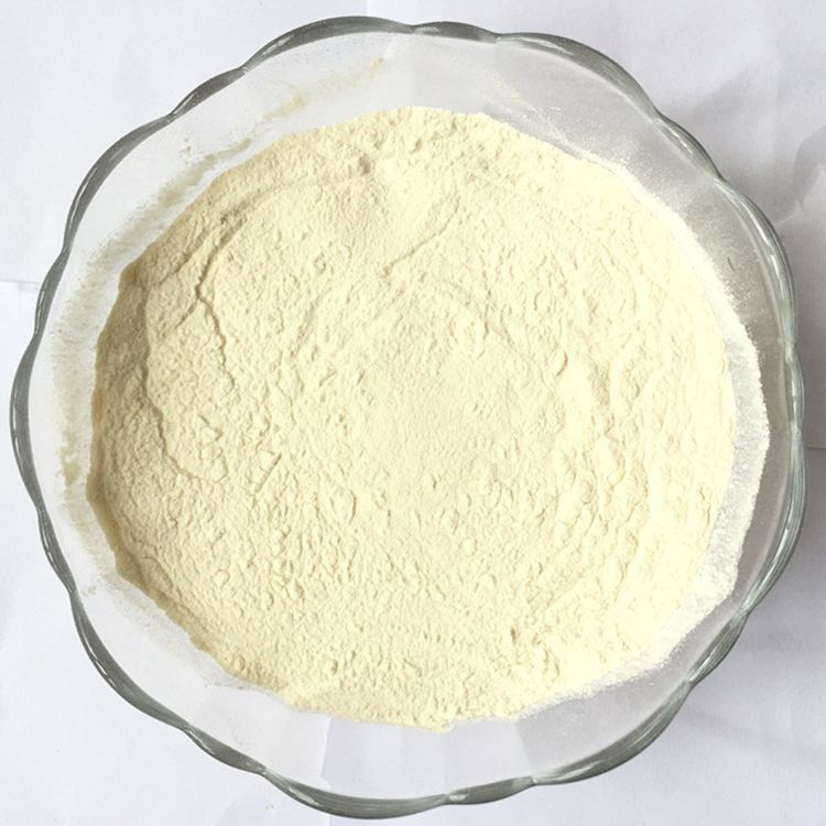 Japan Agar Agar Powder Tepung AgarAgar Japan 100g 250g