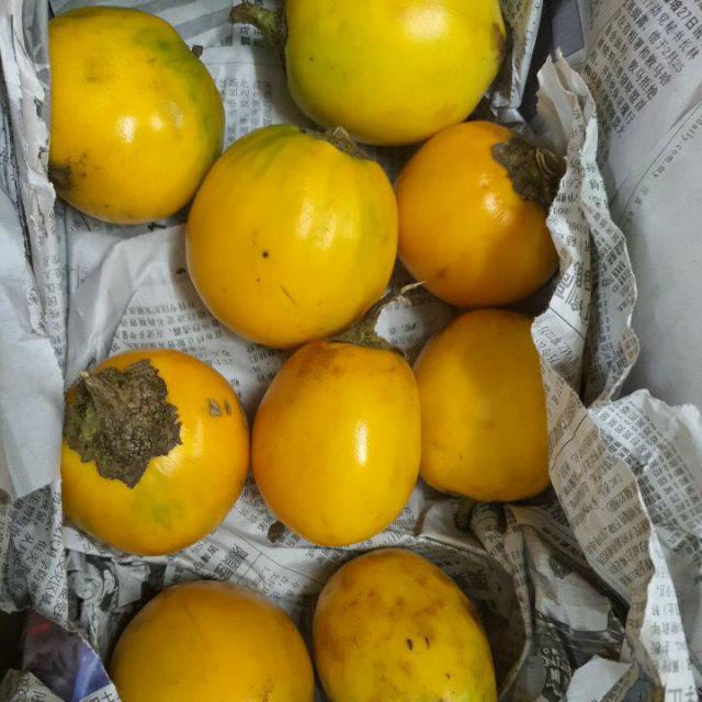 Terung asam , terung dayak sarawak original dari sarawak Shopee Malaysia