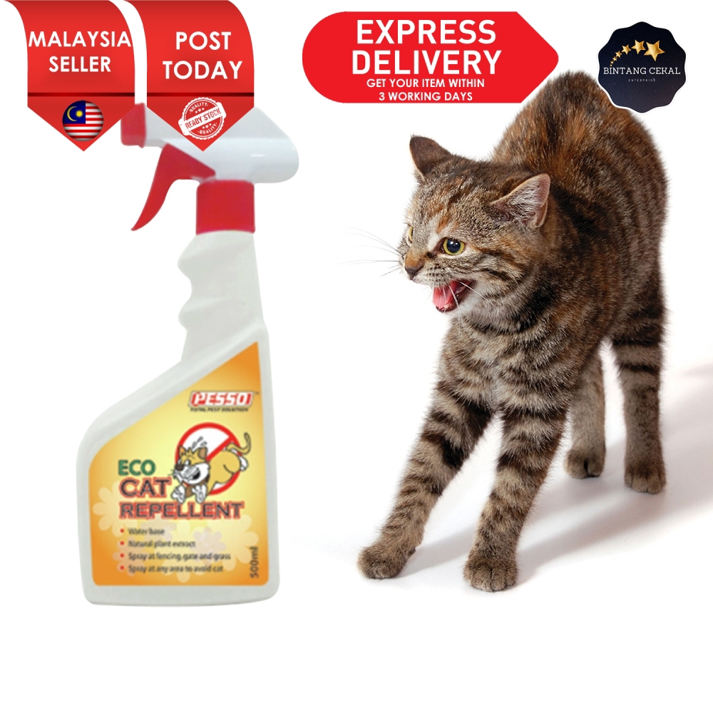 38 Best Pictures Activyl For Cats Active Ingredients