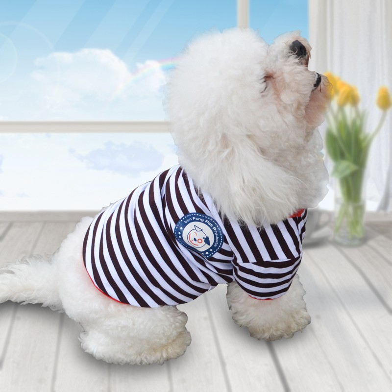 Droll Golden Retriever Puppies In Clothes l2sanpiero