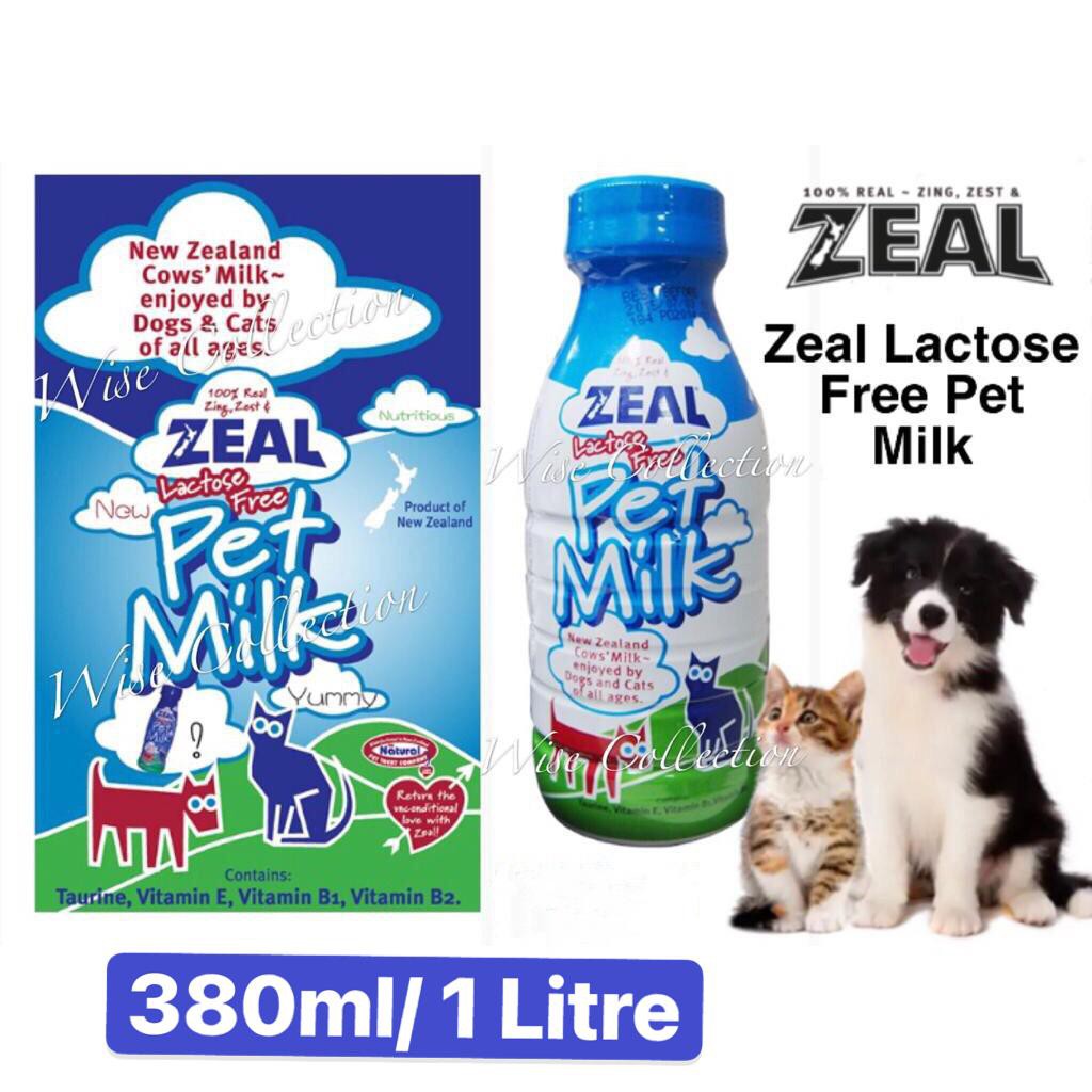 Are All Dogs Lactose Intolerant