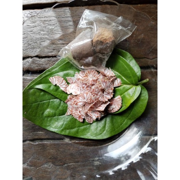 gambir sireh pinang halal Shopee Malaysia