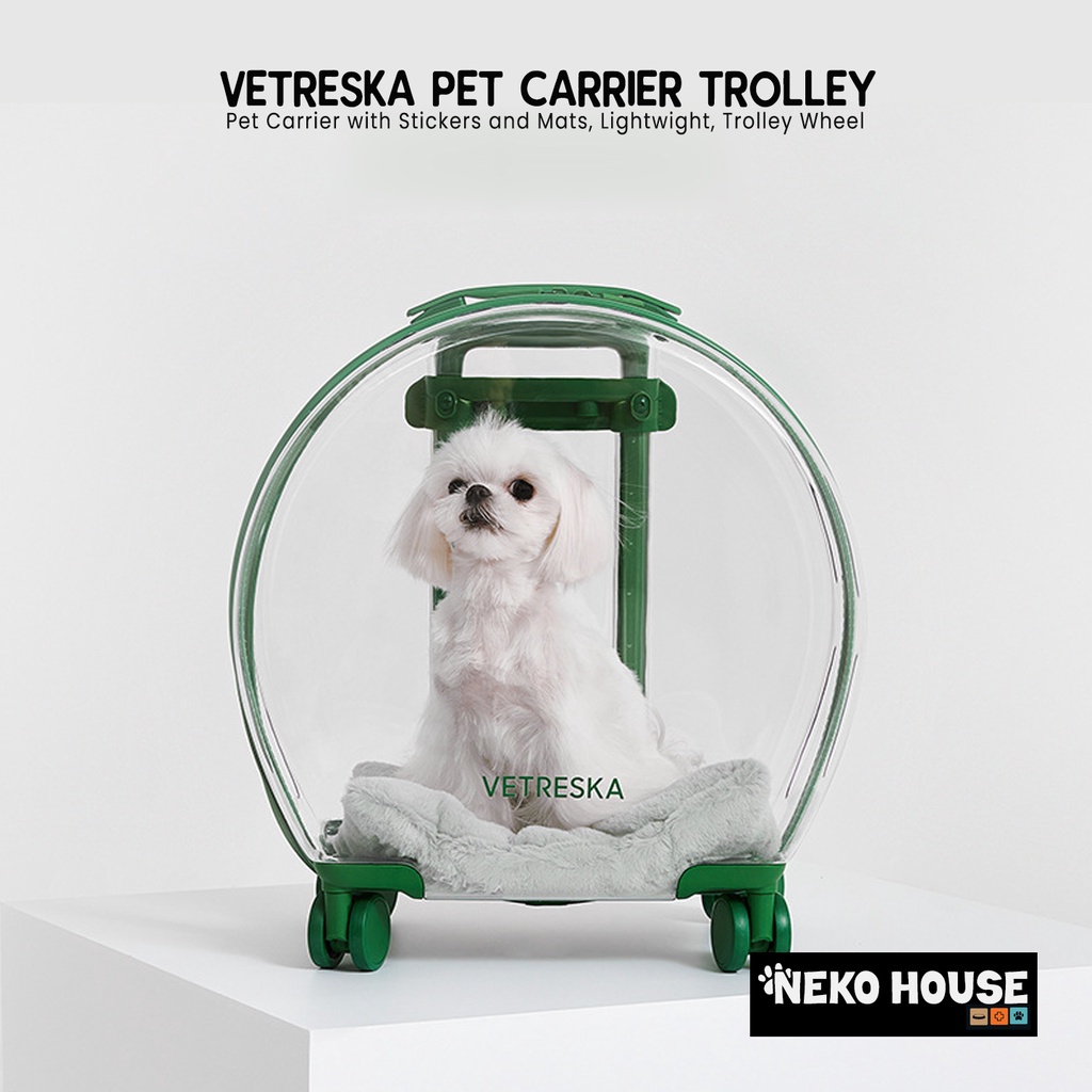 VETRESKA Pet Carrier with Stickers and 2 Mats, Lightweight Pet Bag