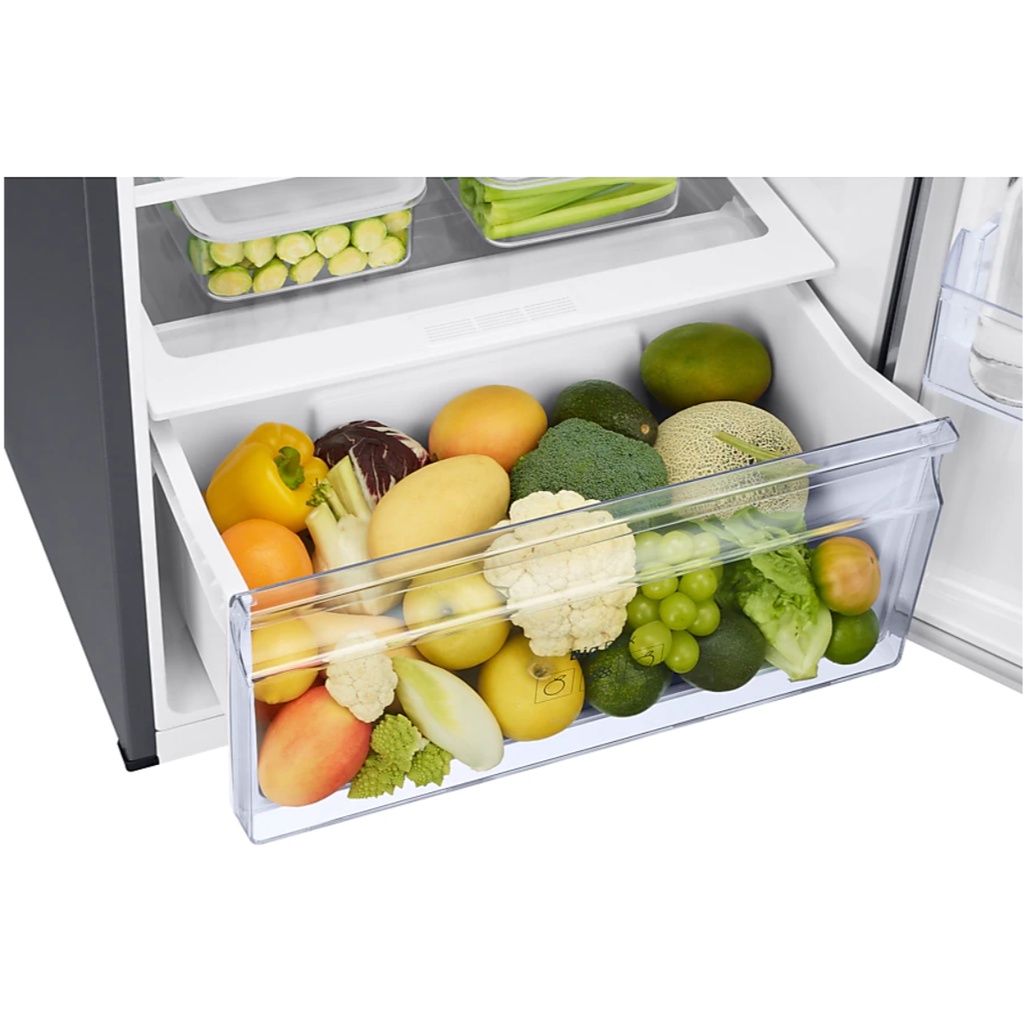 Samsung 500L 2 Door Inverter Refrigerator Top Mount Freezer With Twin