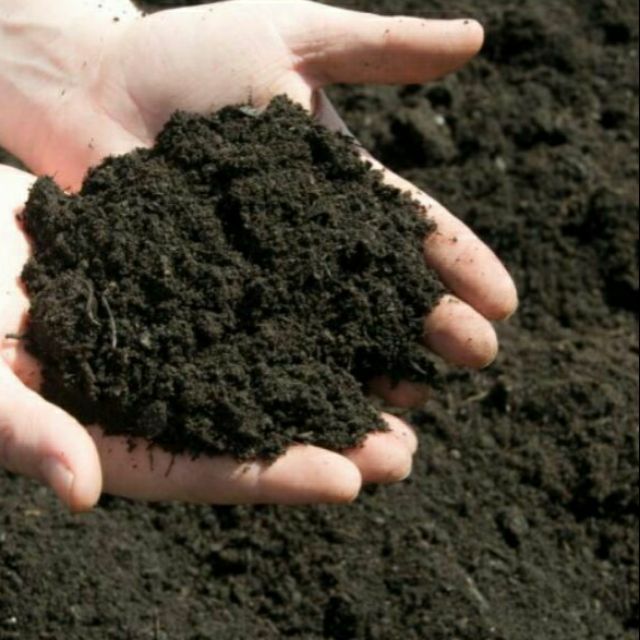 (OFFER KAW KAW) Black Soil Tanah Hitam 1 Kg (ORIGINAL